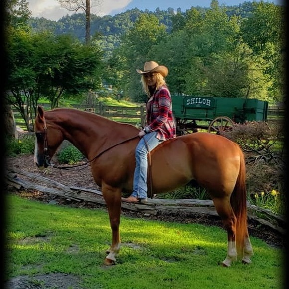 Meet your Posher, Whitley - Picture 1 of 2